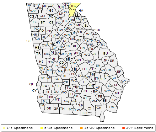 The Georgia range of Tsuga caroliniana